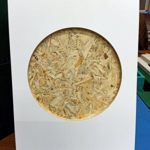 进口欧松板-美卡莱